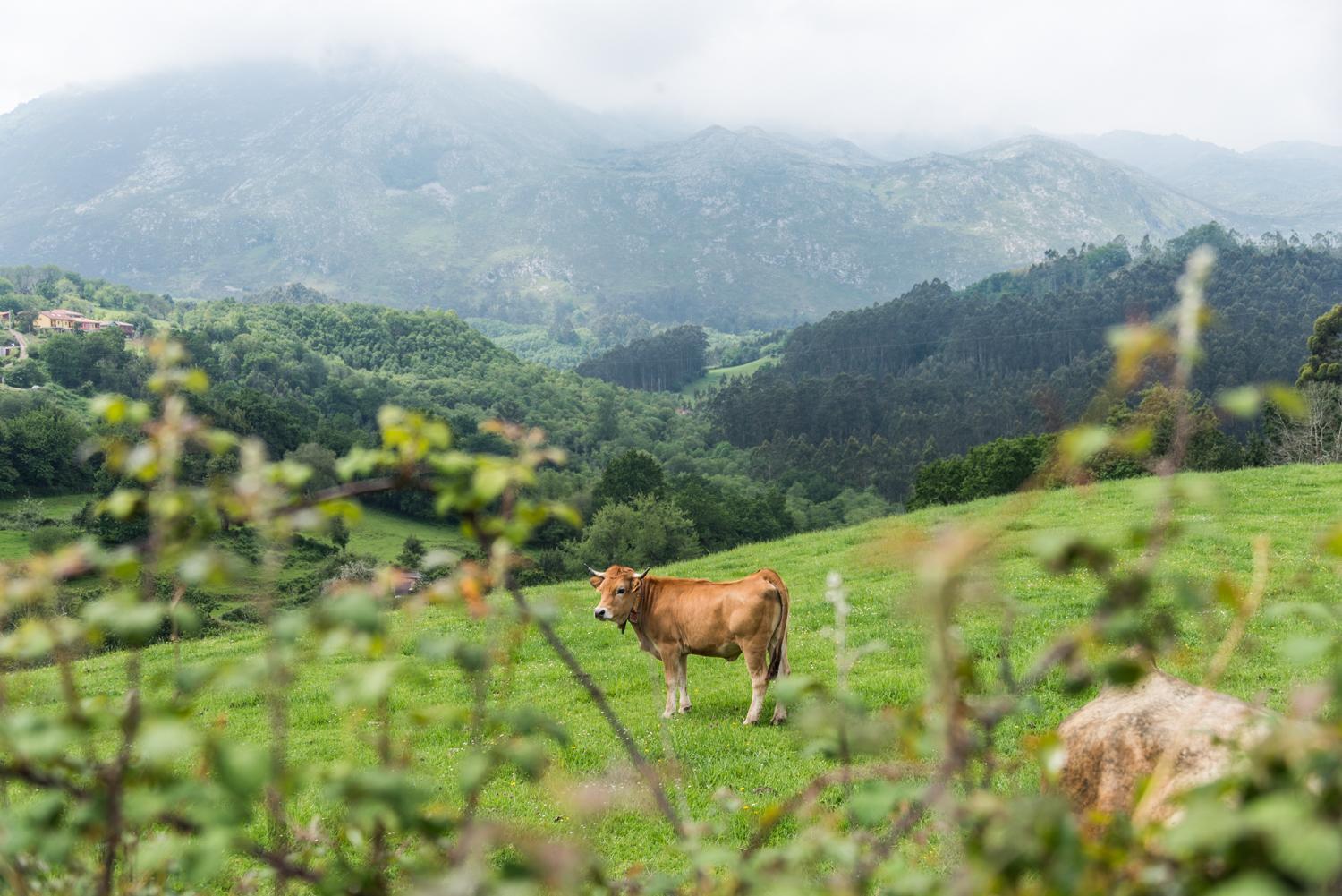Hotel El Babu カラビア エクステリア 写真
